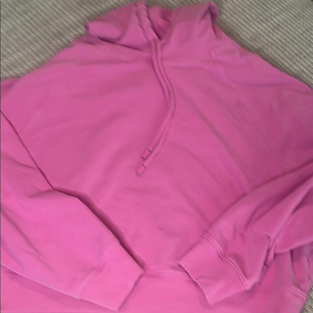 Alo Double Take hoodie